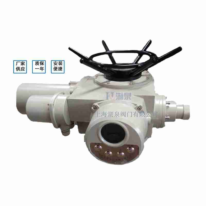 閥門電動裝置（dzw05,10,20，30,45,60，90,12