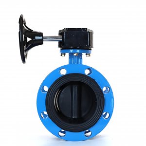 法蘭式蝸輪蝸桿蝶閥DN125，1.6Mpa橡膠密封